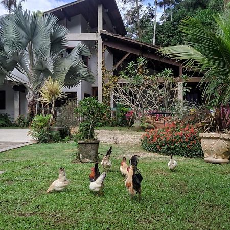 Ferienwohnung Casa Na Floresta Penedo  Exterior foto