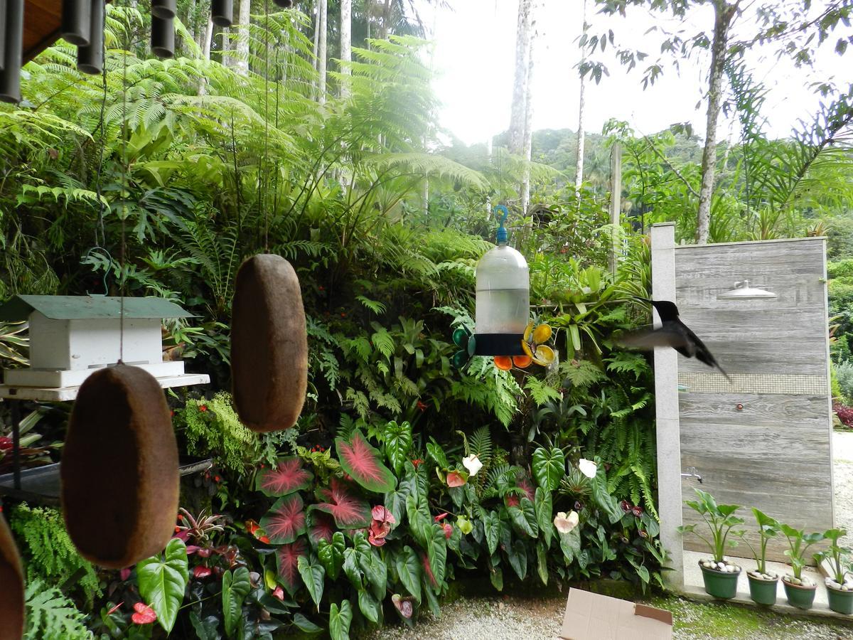 Ferienwohnung Casa Na Floresta Penedo  Exterior foto